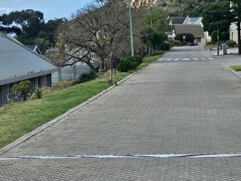0 Bedroom Property for Sale in Vakansieplaas Western Cape